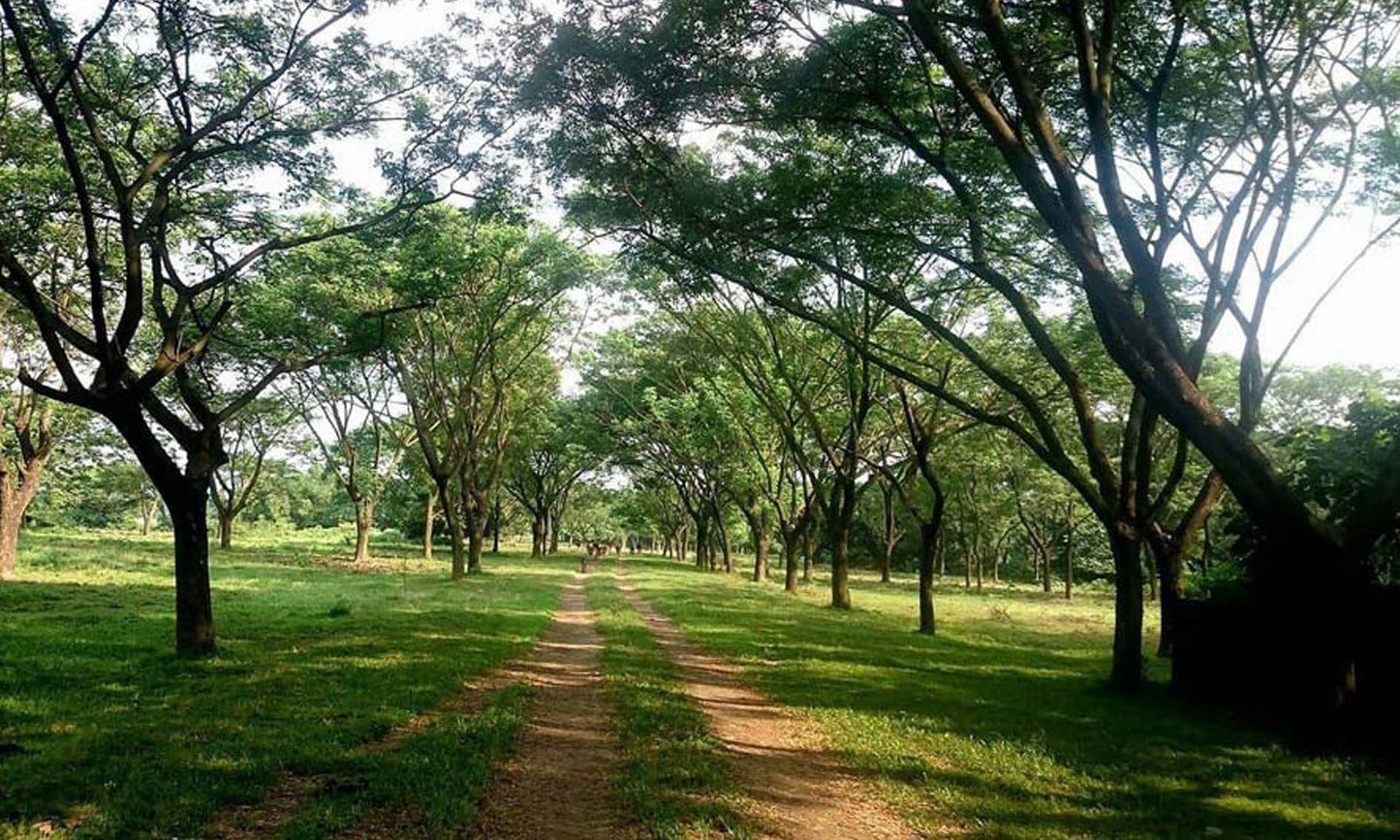 Checkout This nice 5 Katha Plot for Sale In Surabari, Kasimpur, Asulia, Gazipur