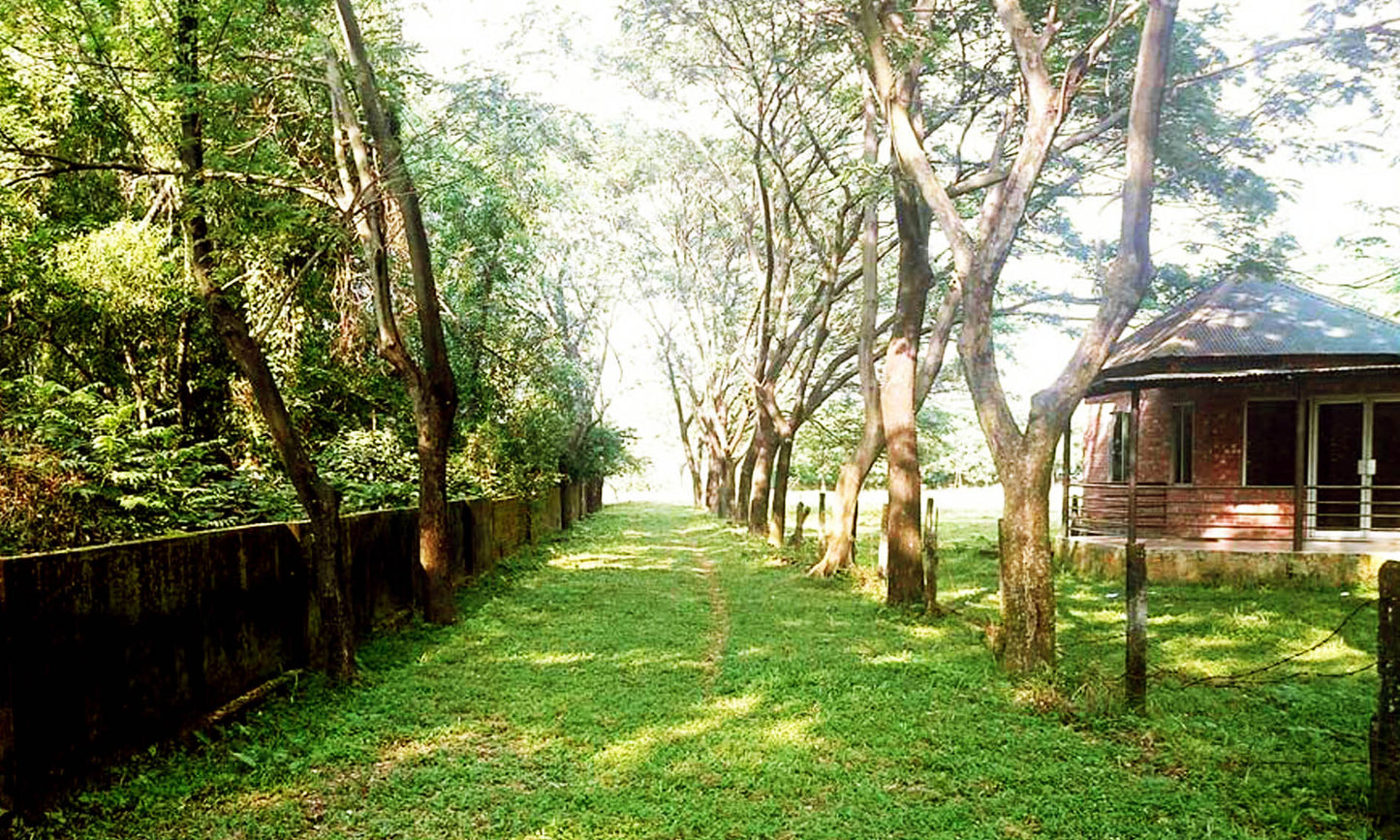 Checkout This nice 5 Katha Plot for Sale In Surabari, Kasimpur, Asulia, Gazipur