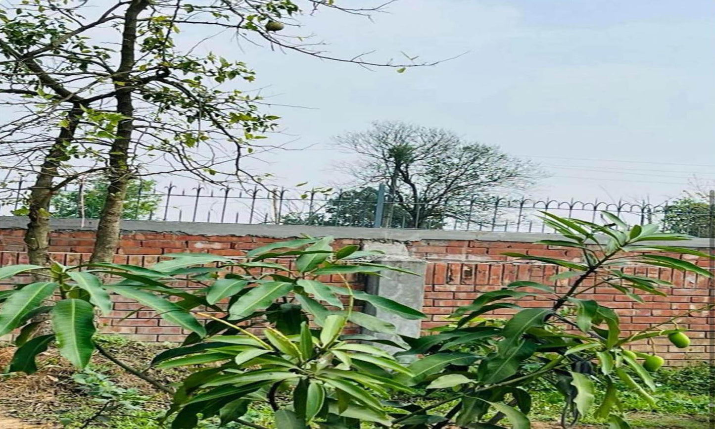 7.5 Katha Residential Plot Is Available For Sale In Purbachal, Dhaka
